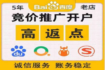 百度SEO推广策略案例：一家公司的成功转型之路